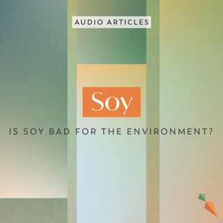 Is Soy Bad For The Environment? | FoodUnfolded AudioArticle