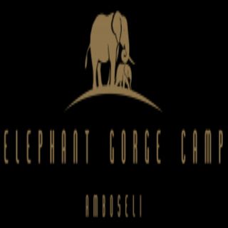 Elephant Gorge Camp