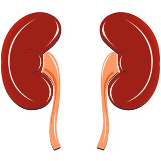 വൃക്കമാറ്റിവയ്ക്കല്‍ ശസ്ത്രക്രിയ റോബോട്ട് ചെയ്യുന്ന കാലം  | World Kidney Day