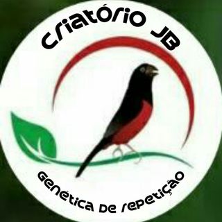 Silvio Lopes