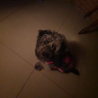 vicky