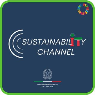Episode 23 - Voci dal Palazzo di Vetro (Voices from the Glass Palace) - Sustainability Channel