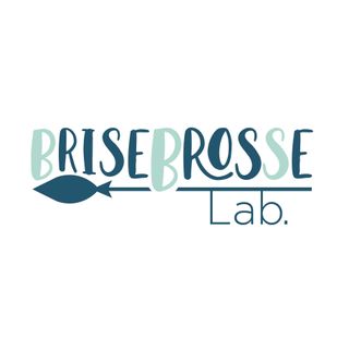 Brisebrosse Lab