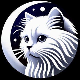 Cat Cognition