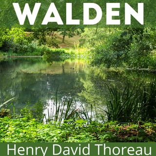 Cover art for Walden