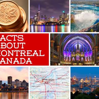 Hershey Rosen | Facts About Montreal Canada