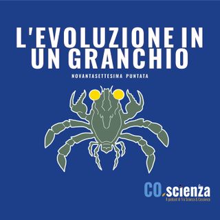 L'evoluzione in un granchio (Novantasettesima Puntata)