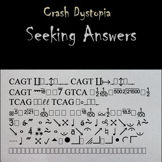 Crash Dystopia Seeking Answers