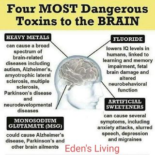 Four Most DANGEROUS TOXINS TO THE BRAIN