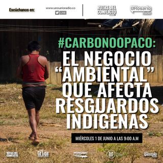 Carbono Opaco: el negocio ‘ambiental’ que afecta a resguardos indígenas