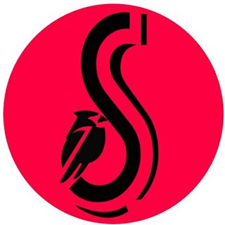 SsanTv