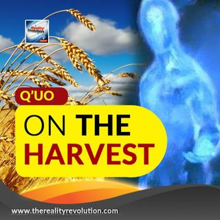 Q'uo On The Harvest