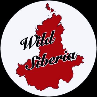 Wild Siberia Show