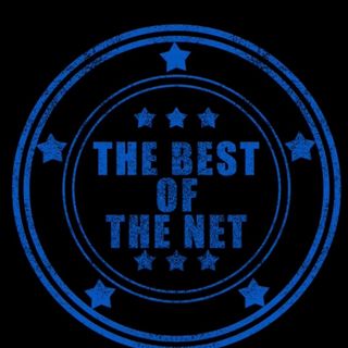 The Best Of The Net