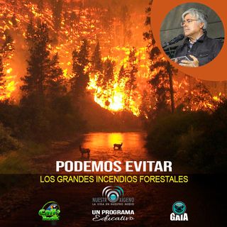 NUESTRO OXÍGENO Podemos evitar los incendios forestales - Francisco Castañares Morales