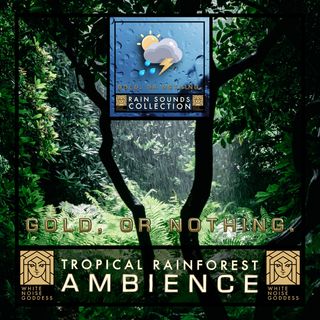 Tropical Rainforest Ambience | Lush Rain Relaxing Soundscape