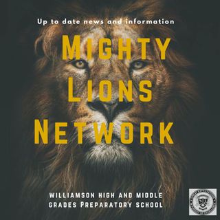 Mighty Lion Network News