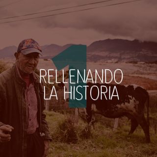 Rellenando la historia