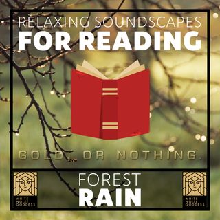 Forest Rain Ambience | Relaxing Soundscape For Reading | Studying | Concentration | Mindfulness