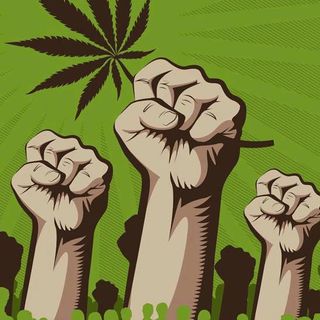 Time 4 Hemp - 03/28/17