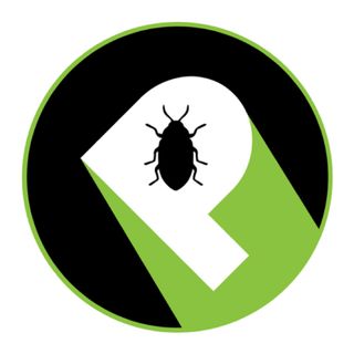 Prominent Pest Solutions