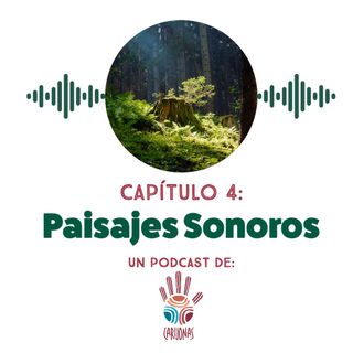 Paisajes Sonoros: el arte de registrar y comparar el sonido de la naturaleza