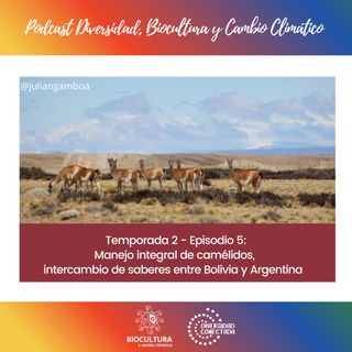 T2.E5.Manejo integral de camélidos. Intercambio de saberes entre Bolivia y Argentina