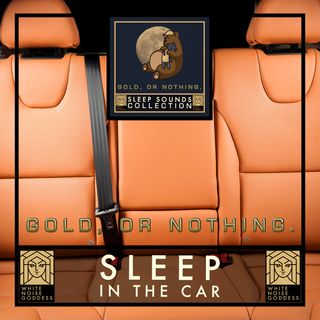 Car Driving Ambience | Sleep In The Car