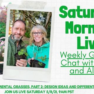 Saturday 5-8-2021 Morning YouTube LIVE Garden Chat - Ornamental Grass Uses and Design