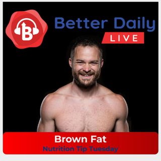 292 - Brown Fat (The Good Kind)