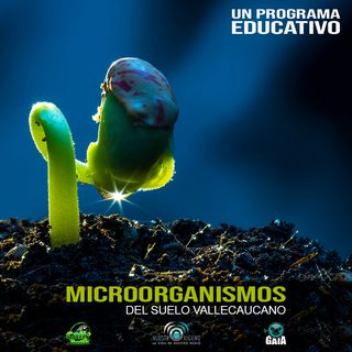 NUESTRO OXÍGENO Microorganismos del suelo vallecaucano – Blgo. Juan Diego Duque-Ing. Amb. Wendy Lorena Reyes