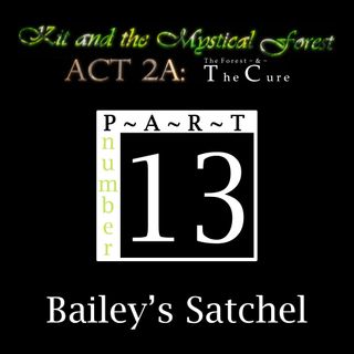 Part 13: Bailey’s Satchel