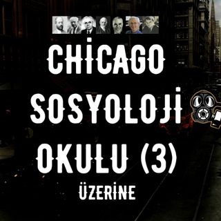 Chicago Sosyoloji Okulu Üzerine (3): Özet ve Eleştiriler
