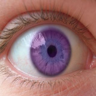 Episode 32 - Eye Colour