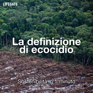La definizione di ecocidio