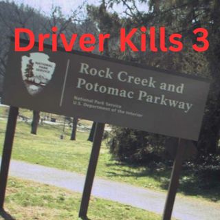 Driver Kills 3 People