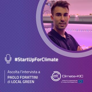 Coltivare senza terra, con pochissima acqua e zero pesticidi: è davvero possibile? L'abbiamo chiesto a Local Green