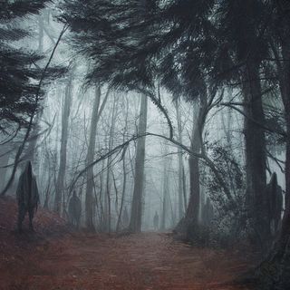 #66 Hoia Baciu Bosque más embrujado del Mundo - Miedo al Misterio