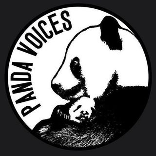 Panda Voices' Tom Clemenson