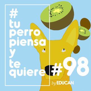 Ep 98 - Pirrómides: La EMOCIÓN que SUBIÓ 📈una MONTAÑA🏔 pero bajó una COLINA🏞