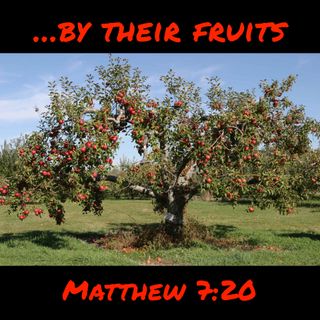 By Their Fruits