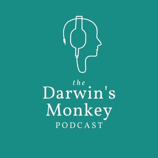 The Darwin's Monkey