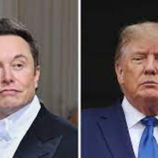 Elon musk will reverse twitter ban on Trump and more