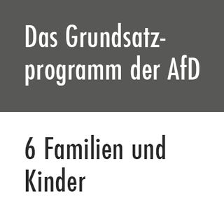 Das Grundsatzprogramm der AfD - 6 Familien und Kinder