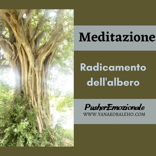 Meditazione di radicamento: l'albero