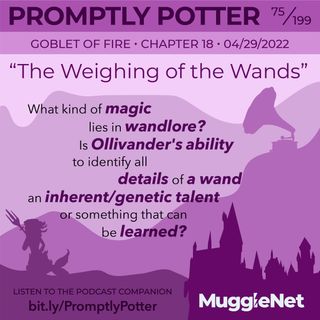 Episode 75: The Wand Chooses the Wizard, Mr. Potter