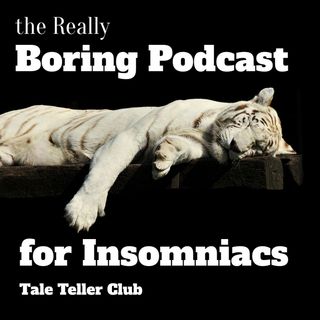Boring Literary Questions That Will Get You Off to Sleep Before You Can Answer Any Free Audiobook for Insomniacs