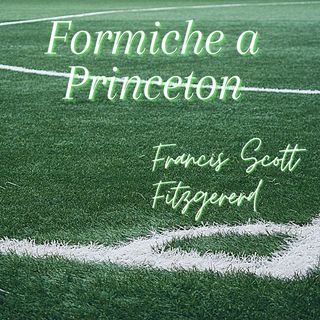 LE formiche a princeton - Francis Scott Fitzgerard