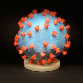 Come il coronavirus invade l'organismo
