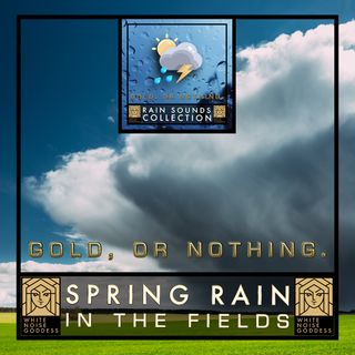 Spring Rain In The Fields | Relaxing Rain Ambience